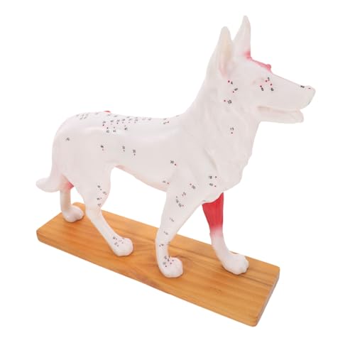 Zerodeko Hund Akupunkturmodell Professionelles Anatomiemodell für Lehrwerkzeug für Akupunkturtechniken für Veterinärstudien Anatomieunterricht Farbenfrohes Design zur Besseren Zerodeko Hund Akupunkturmodell Professionelles Anatomiemodell für Lehrwerkzeug für Akupunkturtechniken für Veterinärstudien Anatomieunterricht Farbenfrohes Design zur Besseren von Zerodeko