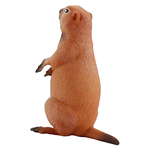 Zerodeko Murmeltier Figur Aus Realistische Wildtier Dekoration Für Schreibtisch Kinderzimmer Und Lehrspielsets Perfekt Als Und Für Die Heimdekoration von Zerodeko