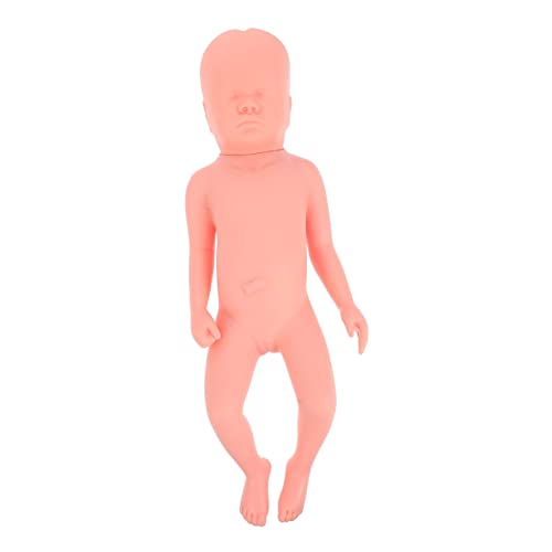 Zerodeko Neonatales Nabelschnur Modell Fetus Modell Anatomisches Lehrmittel für Ausbildung Realistische Darstellung für Studenten Fachkräfte Einfacher Einsatz Detailgetreue Ausführung von Zerodeko