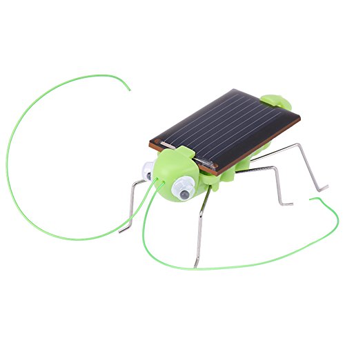 Solar Insekt Spielzeug 1 Stück Mini Magie Solarenergie Angetriebene Schabe Heuschrecke Neuheit Heikle Intelligenz Spielzeug Lustiges Geschenk für Kinder(Heuschrecke) von Zerodis