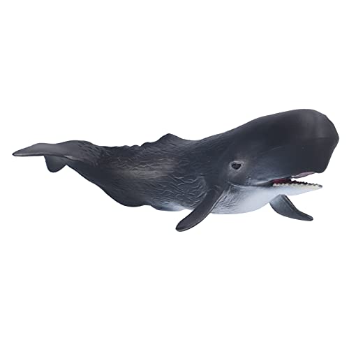 Zerodis Delikate Texturwale Figurmodell Simulation Spielzeug für Pädagogische Requisiten Marine Tiere Kenntnis Zerodis Delikate Texturwale Figurmodell Simulation Spielzeug für Pädagogische Requisiten Marine Tiere Kenntnis von Zerodis