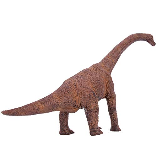 Zerodis Hochqualität Bildung Brachiosaurus Tiermodell Handwerksspielzeug Sicherer Simulationsstatue für Schulprojekte von Zerodis
