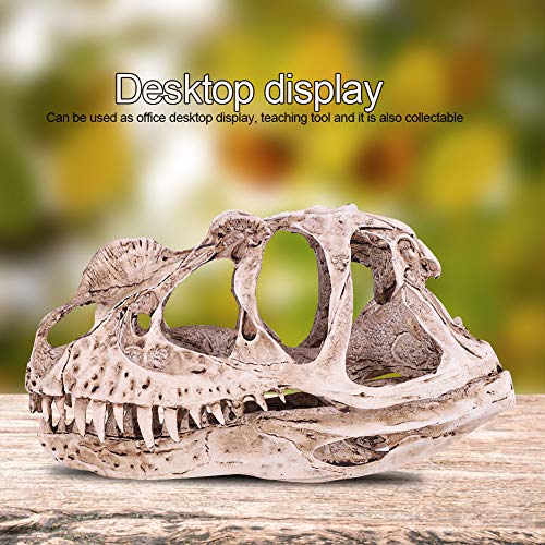 Zerodis Lifelike Dinosaurierschädelmodell für Home Office Decor Unterrichten von Requisite, Umweltfreundliche Tierische Skelett Desktop Handwerk für Dinosaurierbegeisterte von Zerodis
