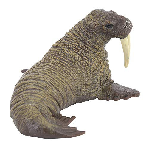 Zerodis Miniatur Walrus Elephant Seal Figurina Dier Modell zu Bildungsdetails Bildungsspielzeug für in Kunststoff 11 * 10 * 5,5 Cm Zerodis Miniatur Walrus Elephant Seal Figurina Dier Modell zu Bildungsdetails Bildungsspielzeug für in Kunststoff 11 * 10 * 5,5 Cm von Zerodis