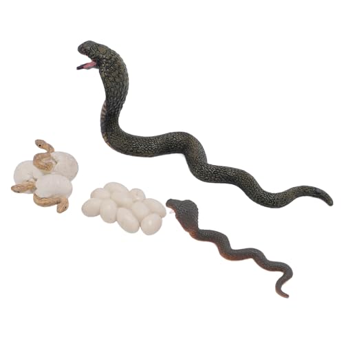 Zerodis Schlangenlebenszyklus -Figur -Bildungsmodell für das Lernen und die Entwicklung von Kindern aus Sicherem PVC Material Etabliert Zerodis Schlangenlebenszyklus -Figur -Bildungsmodell für das Lernen und die Entwicklung von Kindern aus Sicherem PVC Material Etabliert von Zerodis