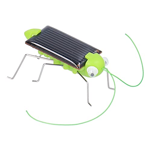 Zerodis Solar Angetriebenes Grünes Heuschreckenspielzeug für, Umweltfreundliches Bildungsspielzeug, Geeignet für 3+ Jahre Alt von Zerodis