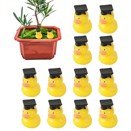 Grad-Ente, Abschluss-Enten aus Kunstharz - 12 Stück Harz-Entenauto-Ornamente für den Abschluss - Mini-Abschluss-Enten aus Kunstharz für die Abschluss-Geburtstagsfeier, 1,96 x 2,45 cm von Zestivra