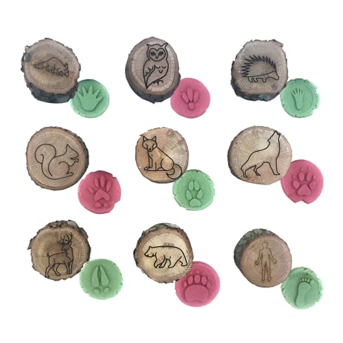Stempel für Tierpfade – Set mit Natur-Abdruck-Stempeln, Blockabdruck auf wilden Wegen | Aktivitätsset mit Tintenblock für Schulbedarf im Klassenzimmer für Würfel Stempel für Tierpfade – Set mit Natur-Abdruck-Stempeln, Blockabdruck auf wilden Wegen | Aktivitätsset mit Tintenblock für Schulbedarf im Klassenzimmer für Würfel von Zestivra