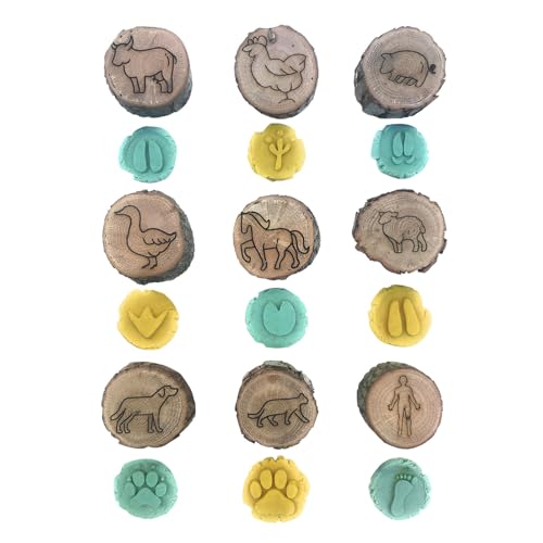 Stempel für Tierpfade – Set mit Natur-Abdruck-Stempeln, Blockabdruck auf wilden Wegen | Aktivitätsset mit Tintenblock für Schulbedarf im Klassenzimmer für Würfel Stempel für Tierpfade – Set mit Natur-Abdruck-Stempeln, Blockabdruck auf wilden Wegen | Aktivitätsset mit Tintenblock für Schulbedarf im Klassenzimmer für Würfel von Zestivra