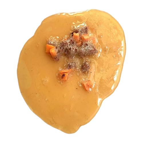 TPR PRANK VOMIT PROP SPIEL - Realistischer gefälschter GAG, Geschenk für Zubehör | Gross-out Fun Enhancer fügt Schockfaktor, flexibler Halloween-Humor mit pädagogischem Gebrauch für Demonstrationen c TPR PRANK VOMIT PROP SPIEL - Realistischer gefälschter GAG, Geschenk für Zubehör | Gross-out Fun Enhancer fügt Schockfaktor, flexibler Halloween-Humor mit pädagogischem Gebrauch für Demonstrationen c von Zestivra