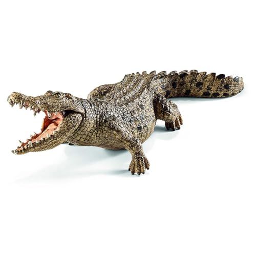 Zestivra Spielzeugfigur Alligator – realistisches Krokodilmodell mit Gelenkkiefer | Nachbildung von Wildtieren für Lernspiele und Sammler-Displays Zestivra Spielzeugfigur Alligator – realistisches Krokodilmodell mit Gelenkkiefer | Nachbildung von Wildtieren für Lernspiele und Sammler-Displays von Zestivra