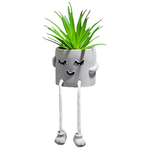 Smiley-Gesicht, Sukkulenten-Topfpflanzen-Ornamente, Garten- Und Schreibtisch-Dekor(Shy) von Zeyeo