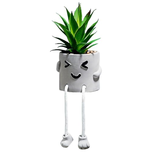 Smiley-Gesicht, Sukkulenten-Topfpflanzen-Ornamente, Garten- Und Schreibtisch-Dekor(Smiley Face) von Zeyeo