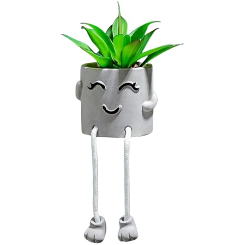 Smiley-Gesicht, Sukkulenten-Topfpflanzen-Ornamente, Garten- Und Schreibtisch-Dekor(Squinting) von Zeyeo