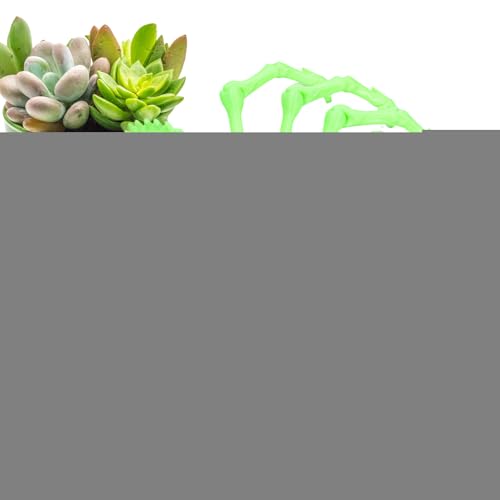 Zhadyu 3D-gedrucktes Spinnen-Fidget, 3D-gedruckte Gelenkspinne,3D-gedruckte Spinnenspielzeuge mit beweglichen Gelenken - Mystery Spider 3D-bewegliche Spinne für Erwachsene, Schreibtischspielzeug für von Zhadyu