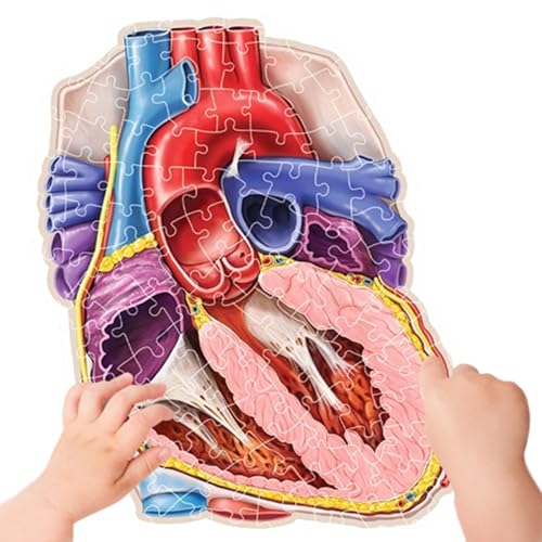 Zhadyu Gehirn Puzzles Für Kinder - Lern Spielzeug Anatomisches Gehirn 100 Teile | STEM Spielzeug Lernspiele Für Geburtstag Schule Familie Spaß Jugendliche Zuhause Zhadyu Gehirn Puzzles Für Kinder - Lern Spielzeug Anatomisches Gehirn 100 Teile | STEM Spielzeug Lernspiele Für Geburtstag Schule Familie Spaß Jugendliche Zuhause von Zhadyu