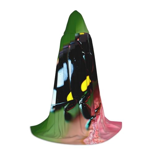 ZhanMg Bunter Marienkäfer-Kapuzenumhang – ideal für Cosplay, Halloween, Ostern – bequemer Umhang für Bühnenkostüme ZhanMg Bunter Marienkäfer-Kapuzenumhang – ideal für Cosplay, Halloween, Ostern – bequemer Umhang für Bühnenkostüme von ZhanMg