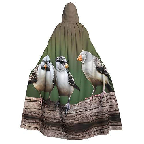 ZhanMg Drei Vögel Kapuzenumhang für Erwachsene - Cosplay Weihnachten Umhang Robe für Halloween, Ostern, Karneval, Partys, Maskerade von ZhanMg