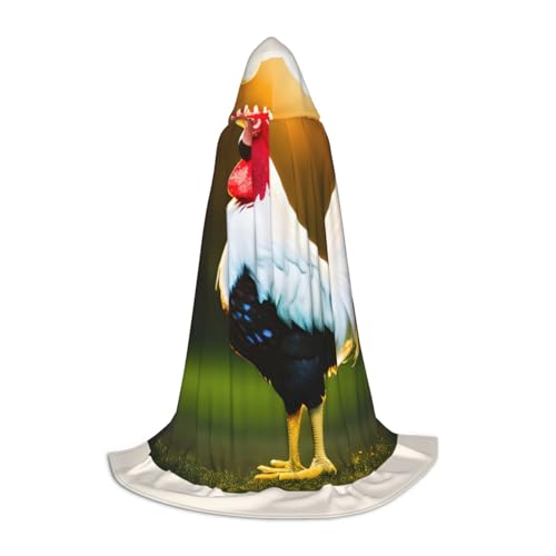 ZhanMg printidea1688440585138 Kapuzenumhang - Ideal für Cosplay, Halloween, Ostern - Bequemer Umhang Robe für Bühnenkostüme ZhanMg printidea1688440585138 Kapuzenumhang - Ideal für Cosplay, Halloween, Ostern - Bequemer Umhang Robe für Bühnenkostüme von ZhanMg