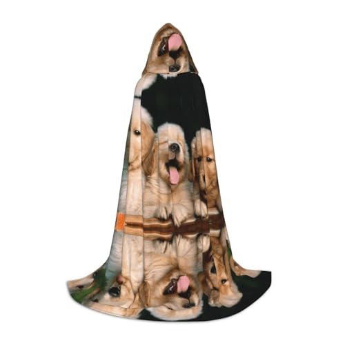 Zhengjia Golden Retriever Hundekostüm für Welpen, Haustiere, Halloween-Kapuzenumhang, Hexe, Cosplay, Zubehör, Erwachsene/Kinder, Verkleidung für Maskerade, Halloween, Familienfeier von Zhengjia