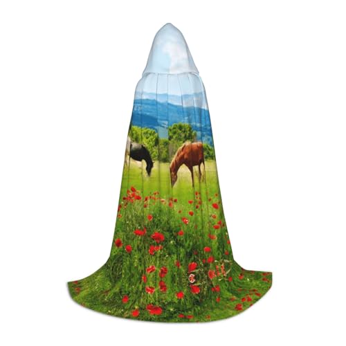 Zhengjia Halloween Kapuzenumhang Hexe Cosplay Zubehör Erwachsene/Kinder Kostüm für Maskerade, Halloween, Familienfeier von Zhengjia