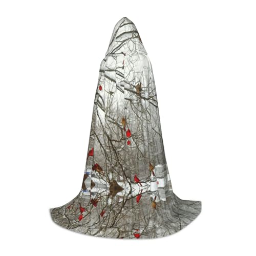 Zhengjia Halloween-Kapuzenumhang mit Birkenbäumen, Hexe, Cosplay-Zubehör, Erwachsenen-/Kinder-Kostüm, für Maskerade, Halloween, Familienfeier von Zhengjia