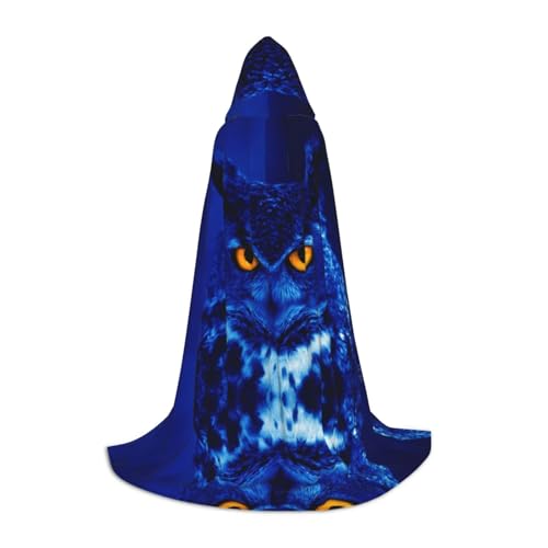 Zhengjia Halloween-Kapuzenumhang mit blauem Eulen-Druck, Hexe, Cosplay-Zubehör, Erwachsenen-/Kinder-Kostüm, für Maskerade, Halloween, Familienfeier von Zhengjia