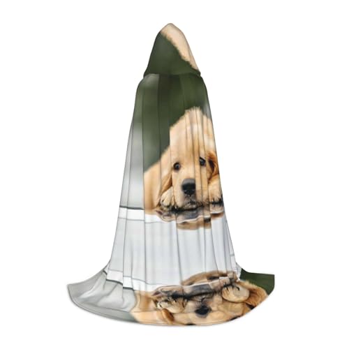 Zhengjia Halloween-Umhang mit Kapuze und Hexenmotiv, für Erwachsene/Kinder, für Maskerade, Halloween, Familienfeier Zhengjia Halloween-Umhang mit Kapuze und Hexenmotiv, für Erwachsene/Kinder, für Maskerade, Halloween, Familienfeier von Zhengjia