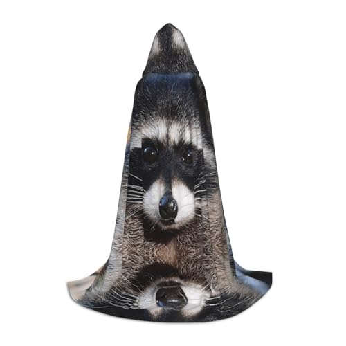 Zhengjia Kleiner Waschbär-Gesichtsaufdruck, Halloween-Kapuzenumhang, Hexe, Cosplay-Zubehör, Erwachsene/Kinder, Faschingskostüm für Maskerade, Halloween, Familienfeier von Zhengjia