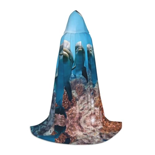 Zhengjia Lustiger Delfin, der dich anschaut, Druck, Halloween-Kapuzenumhang, Hexe, Cosplay, Zubehör, Erwachsene/Kinder, Faschingskostüm für Maskerade, Halloween, Familienparty von Zhengjia