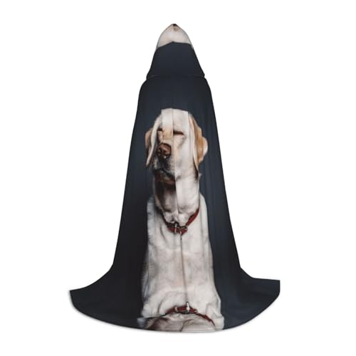 Zhengjia Süßer Labrador-Hunde-Druck, Halloween-Kapuzenumhang, Hexe, Cosplay-Zubehör, Erwachsene/Kinder, Kostüm für Maskerade, Halloween, Familienfeier Zhengjia Süßer Labrador-Hunde-Druck, Halloween-Kapuzenumhang, Hexe, Cosplay-Zubehör, Erwachsene/Kinder, Kostüm für Maskerade, Halloween, Familienfeier von Zhengjia