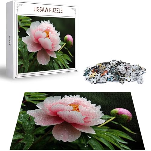 Puzzle 1000 Teile Rosa Puzzle Erwachsene, Groß Puzzelmatten, Holzpuzzle für Erwachsene und Kinder ab 12 Jahren Wooden Jigsaw Pfingstrose Geschicklichkeitsspiel für Die Ganze Familie, Geschenke D-149 Puzzle 1000 Teile Rosa Puzzle Erwachsene, Groß Puzzelmatten, Holzpuzzle für Erwachsene und Kinder ab 12 Jahren Wooden Jigsaw Pfingstrose Geschicklichkeitsspiel für Die Ganze Familie, Geschenke D-149 von Zhlpjecc