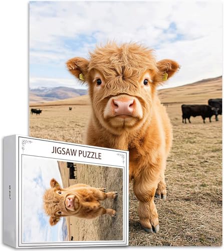 Puzzle 2000 Teile Wiese Puzzle Erwachsene, DIY Groß Puzzelmatten, Holzpuzzle für Erwachsene und Kinder ab 12 Jahren Wooden Jigsaw Hochlandrinder Geschicklichkeitsspiel für Die Ganze Familie, D-529 Puzzle 2000 Teile Wiese Puzzle Erwachsene, DIY Groß Puzzelmatten, Holzpuzzle für Erwachsene und Kinder ab 12 Jahren Wooden Jigsaw Hochlandrinder Geschicklichkeitsspiel für Die Ganze Familie, D-529 von Zhlpjecc