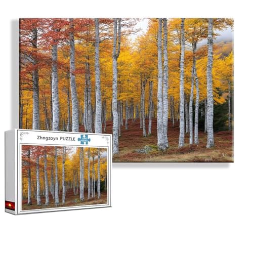 Puzzle Wald Landschaft 5000 Teile Groß XXL 156 x 105 cm, Jigsaw Art Impossible Erwachsene Anspruchsvoll, Klassische Jigsaw Erwachsene, Junge, Mädchen, Geschicklichkeitsspiel für Die Ganze Familie N-7 von Zhngzoyn