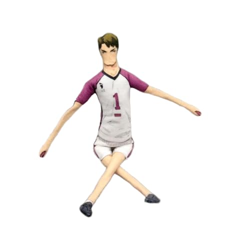 Zhongkaihua Anime Plüsch Ushijima Wakatoshi Figur, Anime, weich, gefüllt, drehbar, lustig, Überwurf, Sofa, Schlafzimmer, Heimdekoration, Sammlerstücke, Geschenke, 28 cm von Zhongkaihua