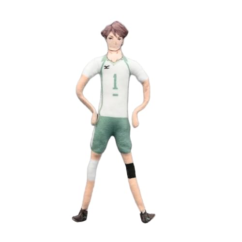 Zhongkaihua Anime Plüschfigur Oikawa Tooru Anime, weich, gefüllt, drehbar, lustig, Überwurf, Sofa, Schlafzimmer, Heimdekoration, Sammlerstücke, Geschenke, 28 cm von Zhongkaihua