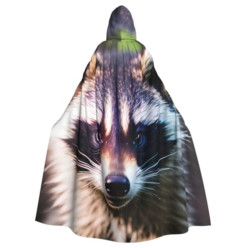 Zhuanyun Kapuzenumhang mit kleinem Waschbärgesicht, 1 Druck, Karneval, Cosplay, Bühnenkostüme, Maskerade, Mottoparty-Zubehör Zhuanyun Kapuzenumhang mit kleinem Waschbärgesicht, 1 Druck, Karneval, Cosplay, Bühnenkostüme, Maskerade, Mottoparty-Zubehör von Zhuanyun