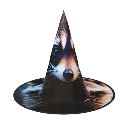 Zhuanyun Kleiner Waschbär Gesicht Druck Halloween Hut Halloween Kostüm Zubehör Kopfschmuck Party Zubehör Hexenhut Zhuanyun Kleiner Waschbär Gesicht Druck Halloween Hut Halloween Kostüm Zubehör Kopfschmuck Party Zubehör Hexenhut von Zhuanyun