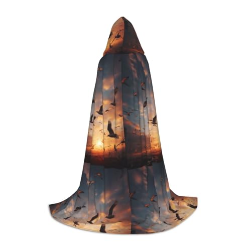 Zhuanyun Maxi-Umhang mit Vogel-Aufdruck, Winter, warm, lang, Cosplay-Kostüme, Oberbekleidung Zhuanyun Maxi-Umhang mit Vogel-Aufdruck, Winter, warm, lang, Cosplay-Kostüme, Oberbekleidung von Zhuanyun