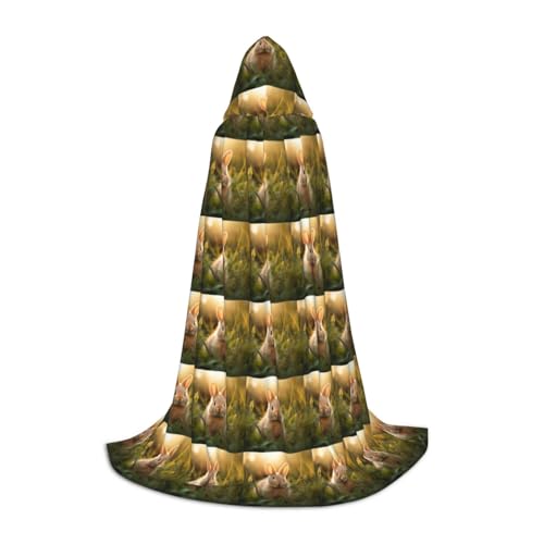 Zhuanyun Maxi-Umhang mit niedlichem Hasen-Aufdruck, Winter, warm, lang, Cosplay-Kostüme, Oberbekleidung Zhuanyun Maxi-Umhang mit niedlichem Hasen-Aufdruck, Winter, warm, lang, Cosplay-Kostüme, Oberbekleidung von Zhuanyun