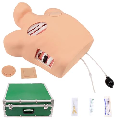 Thorakozentese- und Drainagemodell, Thorakozentese-Trainingsmodell, anatomisches PVC-Modell, Hydrothorax-Trainings-Lehrmodell für geschlossene Drainageoperationen Thorakozentese- und Drainagemodell, Thorakozentese-Trainingsmodell, anatomisches PVC-Modell, Hydrothorax-Trainings-Lehrmodell für geschlossene Drainageoperationen von ZhuiFengA