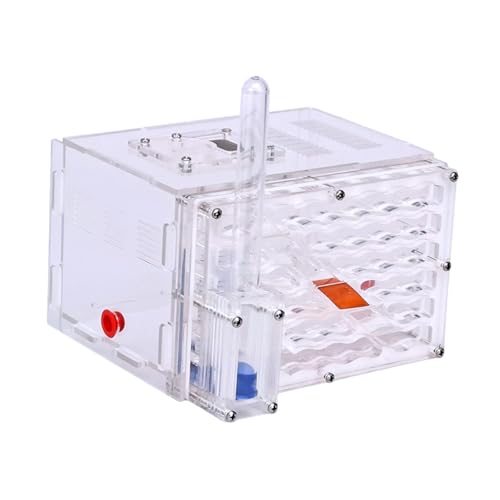 Zialofi Gehäuse Nest Lebensraum Einfach zu Montieren DIY Werkstatt Spielzeug Transparent Display Zialofi Gehäuse Nest Lebensraum Einfach zu Montieren DIY Werkstatt Spielzeug Transparent Display von Zialofi