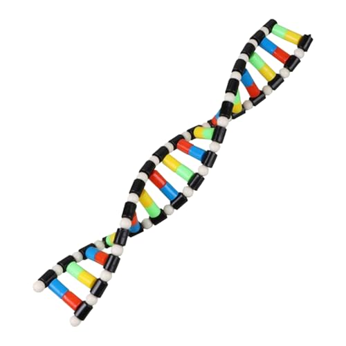 ḊNA -Modell | Double Helix Struction Science Toy Für Kinder Und Studenten | Bildungslernhilfe Für Vorschule, Schulunterricht, STEM -Aktivitäten Und Wissenschaftsspiele ḊNA -Modell | Double Helix Struction Science Toy Für Kinder Und Studenten | Bildungslernhilfe Für Vorschule, Schulunterricht, STEM -Aktivitäten Und Wissenschaftsspiele von Ziennhu