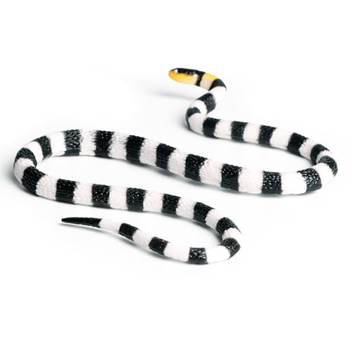 Ziennhu Gefälschte Gummi -Schlangenspielzeug - Realistische Gartenreptile Requisite - Streichgeschenk für Halloween Yard Decor | Scary Wildlife Gag Item für Outdoor -Display -Trick und Partygebrauch Ziennhu Gefälschte Gummi -Schlangenspielzeug - Realistische Gartenreptile Requisite - Streichgeschenk für Halloween Yard Decor | Scary Wildlife Gag Item für Outdoor -Display -Trick und Partygebrauch von Ziennhu