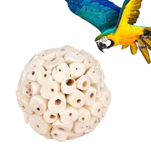 Ziennhu Kauspielzeug Für Vogelsittiche Papageienspielzeug Futterwand Mit Verschiedenen Bunten Vogelspielzeug – Natürliche Holzmaterialien Mits Seil Und Glocke | Handgefertigt – Mittelgroßes Zubehör von Ziennhu