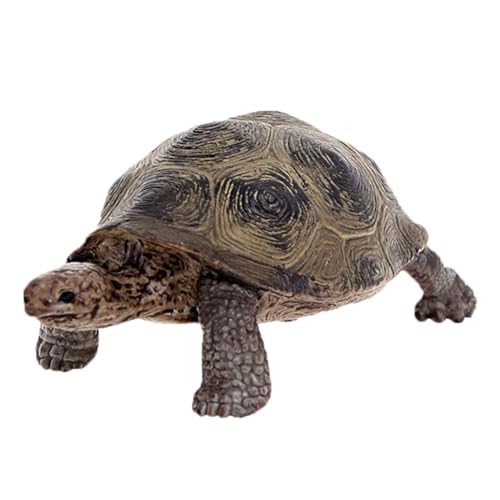 Ziennhu Turtle Figure Modell – Realistisches Riesen-Plüschtier | Wildtier-Schildkröten-Spielzeug für und Sammler | Weiche pädagogische Dekoration | Nachhaltiger Spielbegleiter für Wildtiere Ziennhu Turtle Figure Modell – Realistisches Riesen-Plüschtier | Wildtier-Schildkröten-Spielzeug für und Sammler | Weiche pädagogische Dekoration | Nachhaltiger Spielbegleiter für Wildtiere von Ziennhu