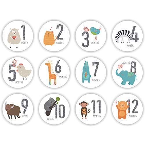 Zktfyshk 12 Stück Baby Schwangere Monats-Aufkleber Memory Sticker Zktfyshk 12 Stück Baby Schwangere Monats-Aufkleber Memory Sticker von Zktfyshk