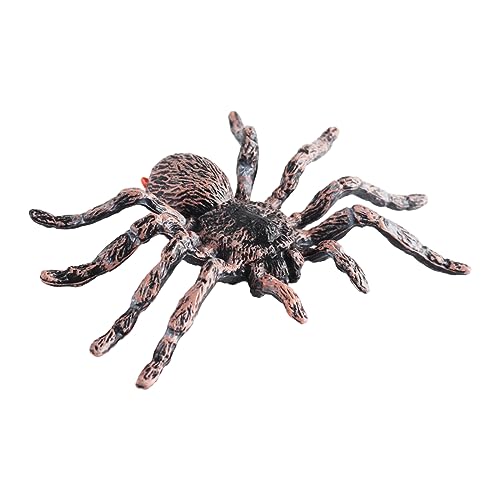 Plastik Halloween Dekorative Spinnen Modell Rot/weiß Gefälschter Spiders Spielzeug Halloween Realistic Realistic Realistic Realistic Realistic Realistic Realistic Realistic Realistic Realistic Plastik Halloween Dekorative Spinnen Modell Rot/weiß Gefälschter Spiders Spielzeug Halloween Realistic Realistic Realistic Realistic Realistic Realistic Realistic Realistic Realistic Realistic von Zkydhbd
