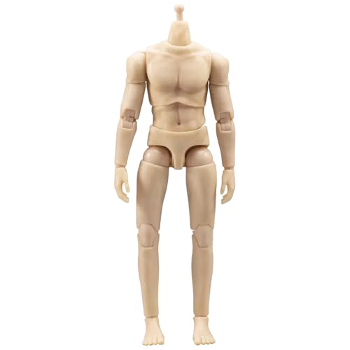 Zkydhbd Premium 1/12 Skala Sammelbare Figur Mit Detaillierter Muskelskulptur Und 360 Grad Werbemöglichkeiten Für Die Display Posenable Action Figur Sammeln Zkydhbd Premium 1/12 Skala Sammelbare Figur Mit Detaillierter Muskelskulptur Und 360 Grad Werbemöglichkeiten Für Die Display Posenable Action Figur Sammeln von Zkydhbd