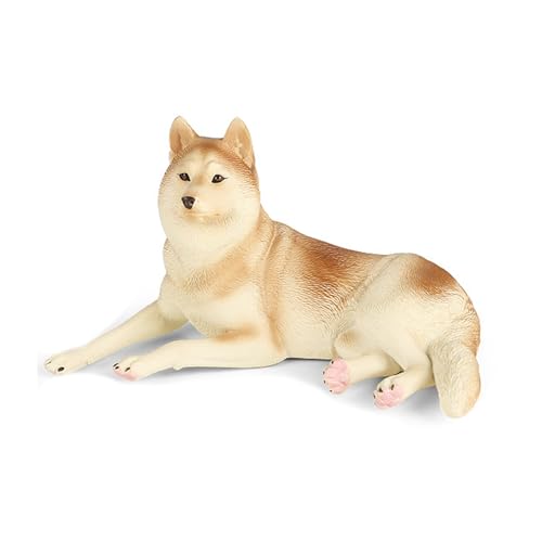 Zkydhbd Realistische Samoyed Miniatures Bildungsspielzeug Schöne Welpe Miniaturen Farm Hunde Hauszimmer Office Orament Tiermodell Spielzeug Spielzeug Zkydhbd Realistische Samoyed Miniatures Bildungsspielzeug Schöne Welpe Miniaturen Farm Hunde Hauszimmer Office Orament Tiermodell Spielzeug Spielzeug von Zkydhbd
